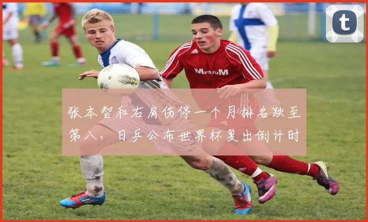 张本智和右肩伤停一个月排名跌至第八，日乒公布世界杯复出倒计时